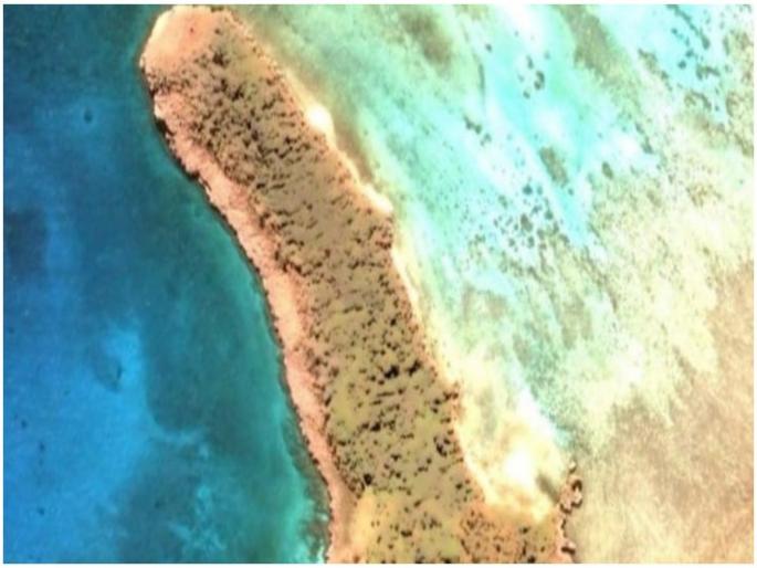 Google earth fan Joleen Vultaggio discovered manhood shaped island on google map in pacific ocean | Google Map वर Joleen Vultaggio ला सापडलं नवं बेट, शेप पाहून सगळेच झाले हैराण... Google earth fan Joleen Vultaggio discovered manhood shaped island on google map in pacific ocean | Google Map वर Joleen Vultaggio ला सापडलं नवं बेट, शेप पाहून सगळेच झाले हैराण...