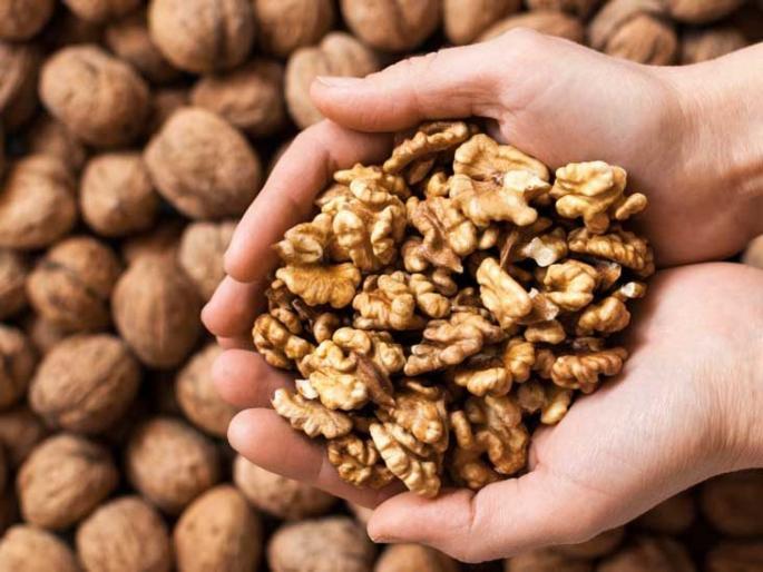 If you want to lose weight, eat walnuts regularly, you will be surprised to read other benefits | वजन कमी करायचं असेल तर नियमित खा अक्रोड, इतर फायदे वाचूनही व्हाल अवाक् If you want to lose weight, eat walnuts regularly, you will be surprised to read other benefits | वजन कमी करायचं असेल तर नियमित खा अक्रोड, इतर फायदे वाचूनही व्हाल अवाक्