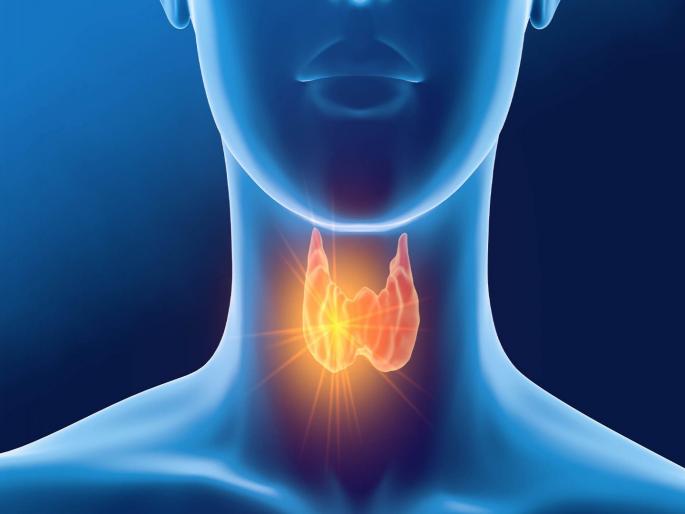 Thyroid patients should not eat these things by mistake, they can be dangerous... | थायरॉईडच्या रुग्णांनी चूकूनही खाऊ नका या गोष्टी, पडू शकतात महागात... Thyroid patients should not eat these things by mistake, they can be dangerous... | थायरॉईडच्या रुग्णांनी चूकूनही खाऊ नका या गोष्टी, पडू शकतात महागात...