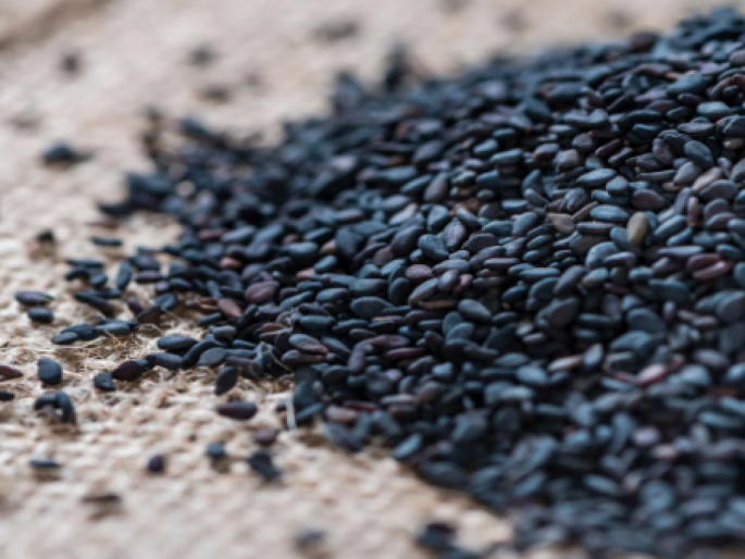 Black sesame is so beneficial that you can't even imagine ... | काळे तीळ इतके फायदेशीर की तुम्ही कल्पनाही करू शकत नाही... Black sesame is so beneficial that you can't even imagine ... | काळे तीळ इतके फायदेशीर की तुम्ही कल्पनाही करू शकत नाही...