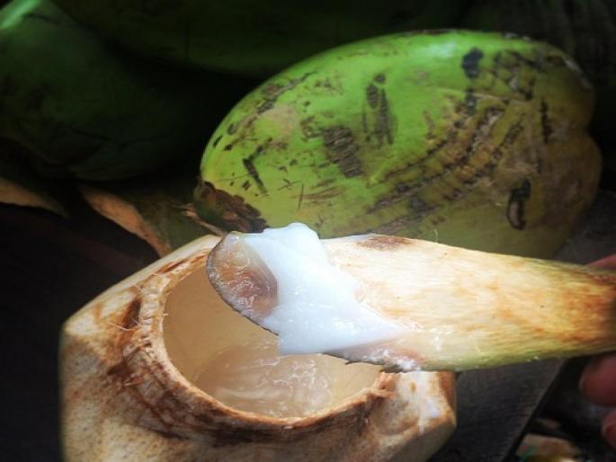 Don't even think of throwing away coconut cream, you will be amazed at the benefits | नारळाची मलई टाकून देण्याचा विचारही करू नका, फायदे वाचून व्हाल अवाक् Don't even think of throwing away coconut cream, you will be amazed at the benefits | नारळाची मलई टाकून देण्याचा विचारही करू नका, फायदे वाचून व्हाल अवाक्