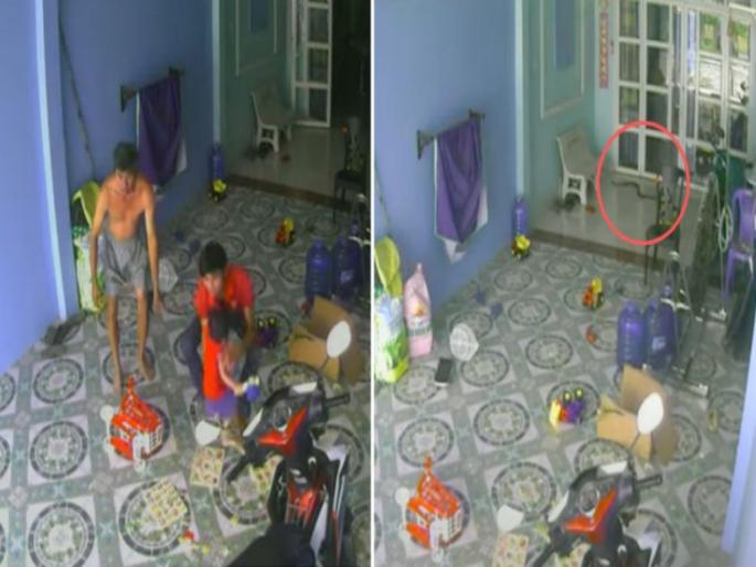 Viral Video : King cobra attack on child with incredible speed see video | घरासमोर खेळत असलेल्या मुलामागे लागला किंग कोब्रा, बघा अंगावर काटा आणणारा व्हिडीओ.... Viral Video : King cobra attack on child with incredible speed see video | घरासमोर खेळत असलेल्या मुलामागे लागला किंग कोब्रा, बघा अंगावर काटा आणणारा व्हिडीओ....