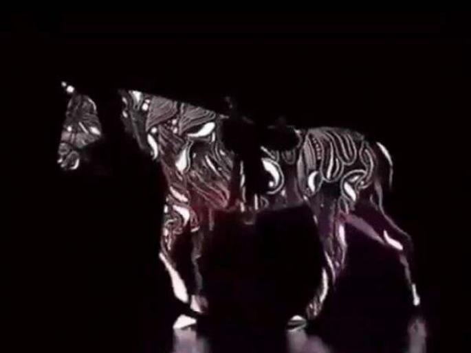 Can you tell this horse is going forward or backward after watch this video | आबरा का डाबरा! हा घोडा पुढे जात आहे की मागे? लोक झाले कन्फ्यूज, बघा तुम्हाला सांगता येतं का...