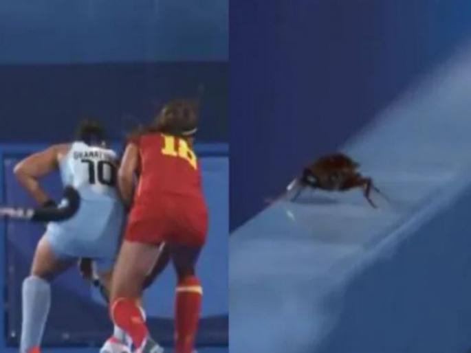 Tokyo Olympic : cockroach entered in the hockey match, video goes viral | टोकियो ऑलिम्पिकमध्ये घेतली एका प्राण्याने एंट्री, हॉकीची मॅच सोडून त्या प्राण्याचीच चर्चा Tokyo Olympic : cockroach entered in the hockey match, video goes viral | टोकियो ऑलिम्पिकमध्ये घेतली एका प्राण्याने एंट्री, हॉकीची मॅच सोडून त्या प्राण्याचीच चर्चा
