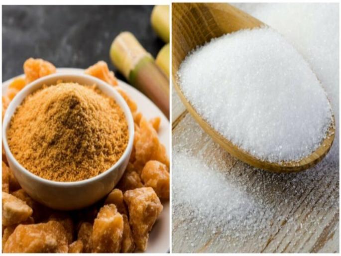 jaggery vs sugar which is best for your health gud or sugar for weight loss | साखर कि गुळ? वजन कमी करण्यासोबतच आरोग्यासाठीही उत्तम काय? जाणून घ्या सत्य jaggery vs sugar which is best for your health gud or sugar for weight loss | साखर कि गुळ? वजन कमी करण्यासोबतच आरोग्यासाठीही उत्तम काय? जाणून घ्या सत्य