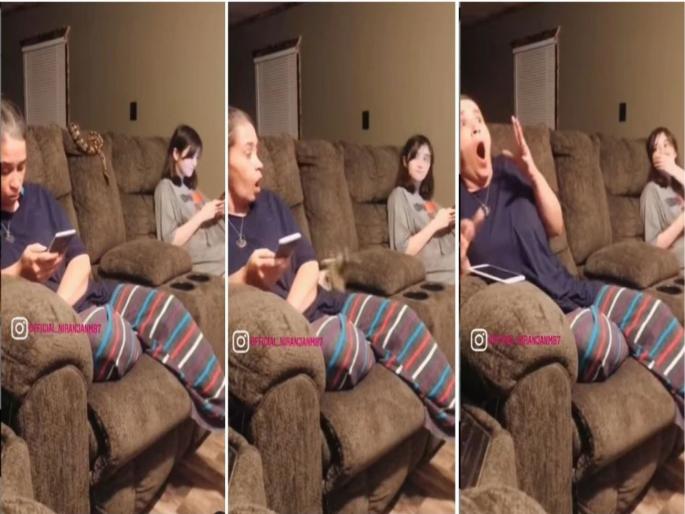 two girls chatting on sofa snake on sofa gets scared, video goes viral on social media | सोफ्यावर बसून आरामात गप्पा मारत होता, इतक्यात सोफ्यावरच हळूहळू सरपटत आला साप अन्... two girls chatting on sofa snake on sofa gets scared, video goes viral on social media | सोफ्यावर बसून आरामात गप्पा मारत होता, इतक्यात सोफ्यावरच हळूहळू सरपटत आला साप अन्...