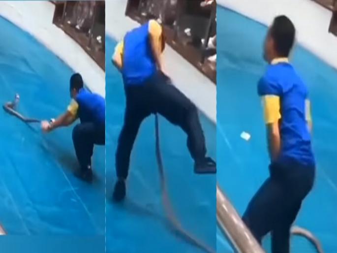 VIDEO : Young man was playing with the snake jumped up and bit him in the private part | Video: सापासोबत मस्ती करत होता तरुण, सापाने मागे वळून प्रायव्हेट पार्टलाच दंश केला! VIDEO : Young man was playing with the snake jumped up and bit him in the private part | Video: सापासोबत मस्ती करत होता तरुण, सापाने मागे वळून प्रायव्हेट पार्टलाच दंश केला!