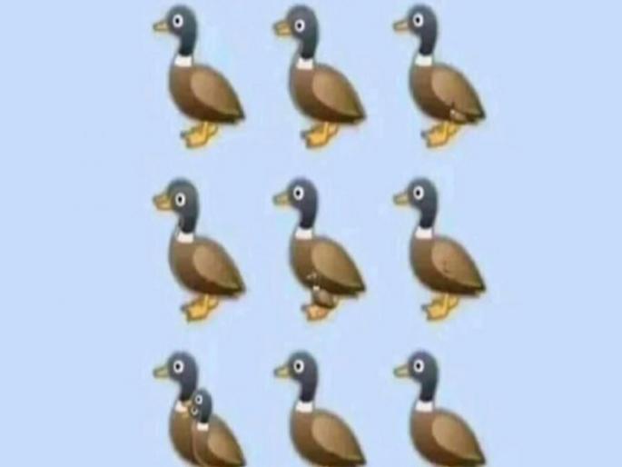 How many ducks are in this picture 99 percent people failed | चॅलेंज! या फोटोत किती आहेत बदक? ९९ टक्के लोकांनी मानली हार; तुम्हीही ट्राय करून बघा.... How many ducks are in this picture 99 percent people failed | चॅलेंज! या फोटोत किती आहेत बदक? ९९ टक्के लोकांनी मानली हार; तुम्हीही ट्राय करून बघा....