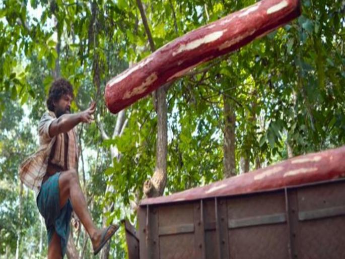 Story about red sandal, why its so expensive? | काय आहे रक्त चंदनाची खरी कहाणी? ज्याने Pushpa मध्ये अल्लू अर्जुनसारख्या मजुराला राजा बनवलं Story about red sandal, why its so expensive? | काय आहे रक्त चंदनाची खरी कहाणी? ज्याने Pushpa मध्ये अल्लू अर्जुनसारख्या मजुराला राजा बनवलं