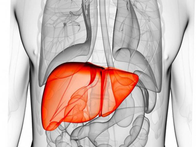 How to reduce fatty liver? Know the home remedies | Fatty Liver : तुमच्या लिव्हरवर चरबी जमा झालीये? या घरगुती उपायांनी दूर होऊ शकतो धोका How to reduce fatty liver? Know the home remedies | Fatty Liver : तुमच्या लिव्हरवर चरबी जमा झालीये? या घरगुती उपायांनी दूर होऊ शकतो धोका