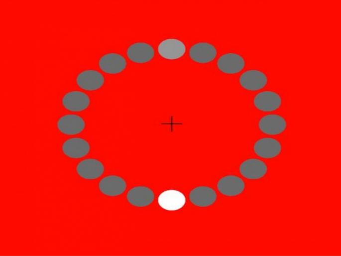 This optical illusion troxlers fading video will blow your mind | कमाल! व्हिडीओतील ग्रे कलरच्या डॉटकडे बघून असं काही घडतं, तुमच्याच डोळ्यांवर बसणार नाही तुमचा विश्वास!