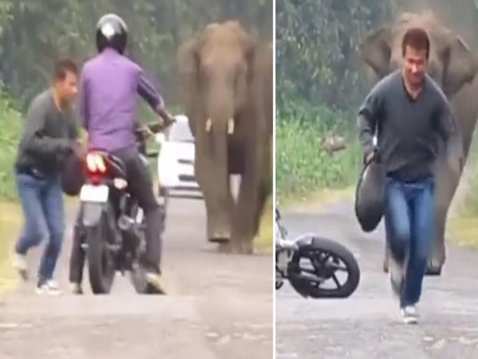 Elephant suddenly attack on two persons, watch what happen next | Viral Video : बाइकने जात असलेल्या दोन व्यक्तींच्या अचानक मागे लागला हत्ती आणि मग... Elephant suddenly attack on two persons, watch what happen next | Viral Video : बाइकने जात असलेल्या दोन व्यक्तींच्या अचानक मागे लागला हत्ती आणि मग...