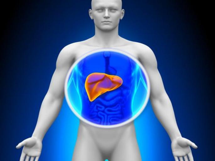 Liver Health : things that can damage your liver | Liver Health : सिगारेट-दारूसोबतच 'या' गोष्टींमुळेही लिव्हर होतं डॅमेज, वेळीच व्हा सावध! Liver Health : things that can damage your liver | Liver Health : सिगारेट-दारूसोबतच 'या' गोष्टींमुळेही लिव्हर होतं डॅमेज, वेळीच व्हा सावध!