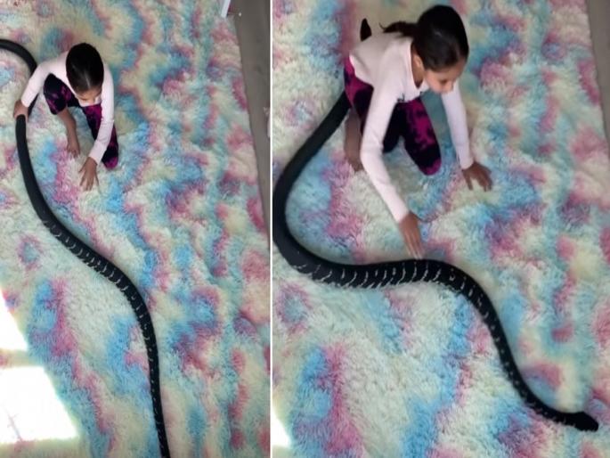 Video of a girl playing with a dangerous black snake went viral | Viral Video: खतरनाक काळ्या रंगाच्या सापासोबत खेळणाऱ्या मुलीचा व्हिडीओ व्हायरल Video of a girl playing with a dangerous black snake went viral | Viral Video: खतरनाक काळ्या रंगाच्या सापासोबत खेळणाऱ्या मुलीचा व्हिडीओ व्हायरल