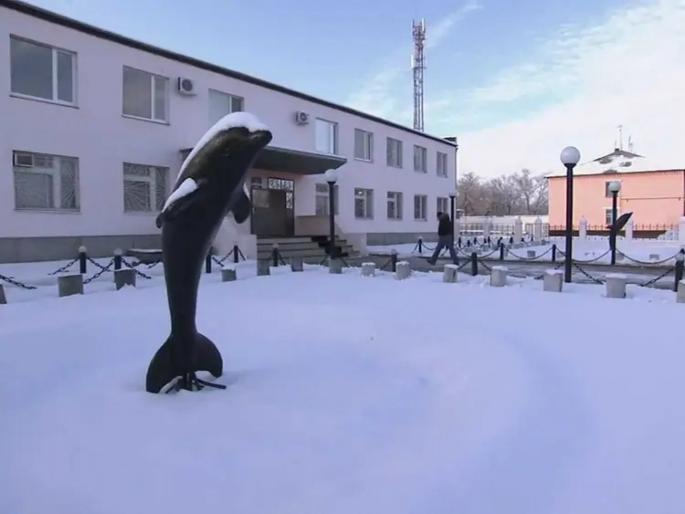 Vladimir Putin dreaded prison black dolphin where cannibals and killers are sent to die | कैद्यांसाठी 'कबरी'सारखं आहे रशियातील खतरनाक तुरूंग, जिथून जिवंत बाहेर येणं आहे अशक्य
