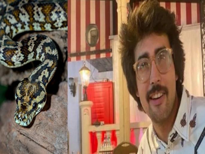 18 feet long pet snake kills owner in America | 18 फूट लांब पाळीव सापाने घेतला मालकाचा जीव, चार दिवस हॉस्पिटलमध्ये होता भरती 18 feet long pet snake kills owner in America | 18 फूट लांब पाळीव सापाने घेतला मालकाचा जीव, चार दिवस हॉस्पिटलमध्ये होता भरती