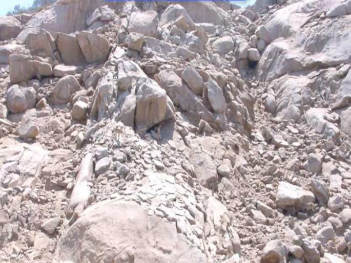 Optical illusion : A deer is hidden among the rocks can you find it | Optical Illusion: दगडांमध्ये लपलं आहे एक हरिण, तीक्ष्ण नजर असेल तर शोधून दाखवा Optical illusion : A deer is hidden among the rocks can you find it | Optical Illusion: दगडांमध्ये लपलं आहे एक हरिण, तीक्ष्ण नजर असेल तर शोधून दाखवा