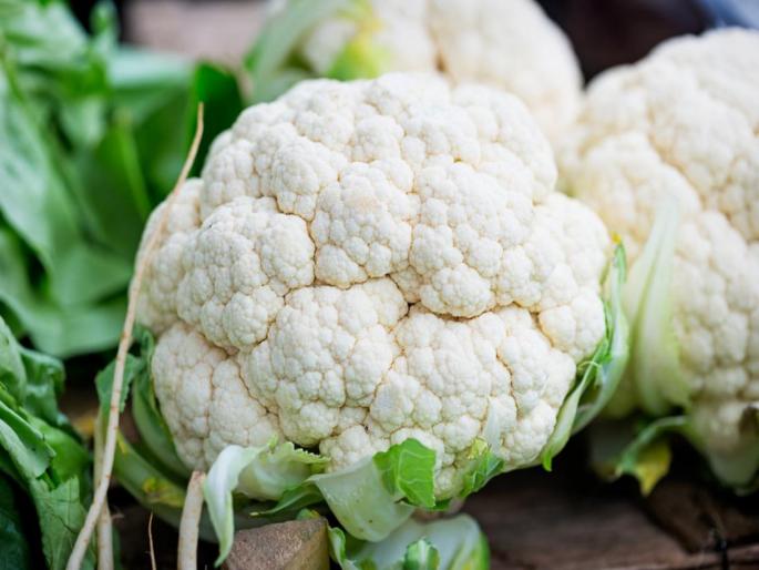 Cauliflower side effects : You should know about these problem | प्रमाणापेक्षा जास्त फुलकोबी खाल्ल्याने होऊ शकतात या गंभीर समस्या, वेळीच व्हा सावध! Cauliflower side effects : You should know about these problem | प्रमाणापेक्षा जास्त फुलकोबी खाल्ल्याने होऊ शकतात या गंभीर समस्या, वेळीच व्हा सावध!