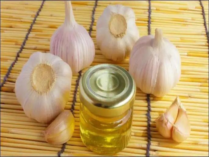 Health benefits of consuming garlic and desi ghee | लसूण आणि तूपाचं रोज एकत्र करा सेवन, आरोग्याला मिळतील अनेक फायदे Health benefits of consuming garlic and desi ghee | लसूण आणि तूपाचं रोज एकत्र करा सेवन, आरोग्याला मिळतील अनेक फायदे