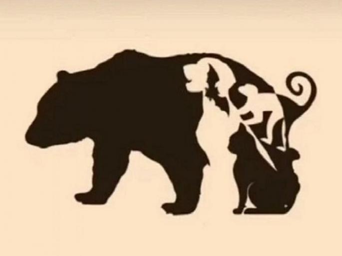 Optical illusion : Can you find how many animals in this picture | Optical illusion : या फोटोत किती प्राणी आहेत? शोधून भले भले थकले, तुम्हीही ट्राय करा... Optical illusion : Can you find how many animals in this picture | Optical illusion : या फोटोत किती प्राणी आहेत? शोधून भले भले थकले, तुम्हीही ट्राय करा...