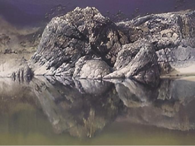 Optical illusion : If your eyes are sharp then find a woman and a child hidden in the picture | Optical Illusion: तुमची नजर तीक्ष्ण असेल तर या फोटोतील महिला आणि लहान मुल शोधून दाखवा! Optical illusion : If your eyes are sharp then find a woman and a child hidden in the picture | Optical Illusion: तुमची नजर तीक्ष्ण असेल तर या फोटोतील महिला आणि लहान मुल शोधून दाखवा!