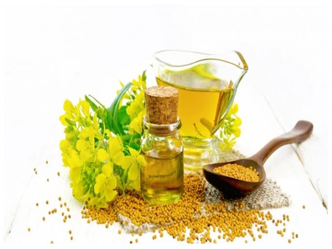 How to get rid of white hair problem mustard oil and fenugreek seeds for gray hair | मोहरीच्या तेलामध्ये मिक्स करून केसांना लावा या बीया, पांढरे केस लगेच होतील काळे How to get rid of white hair problem mustard oil and fenugreek seeds for gray hair | मोहरीच्या तेलामध्ये मिक्स करून केसांना लावा या बीया, पांढरे केस लगेच होतील काळे