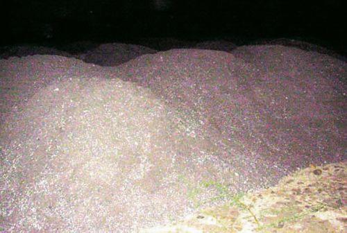 Vaishnath police patrols arrested, four accused absconding | वैजनाथच्या पोलीस पाटलास मारहाण एक अटकेत, चार आरोपी फरार Vaishnath police patrols arrested, four accused absconding | वैजनाथच्या पोलीस पाटलास मारहाण एक अटकेत, चार आरोपी फरार