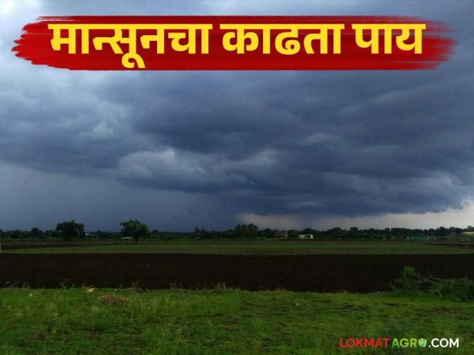 Weather starts to stabilize; Monsoon likely to depart from the state on 'this' date | हवामान स्थिर होण्यास सुरुवात; मान्सून 'या' तारखेला राज्यातून निरोप घेण्याची शक्यता