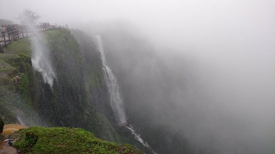 Biodiversity research expedition to be carried out in Kavalesad valley | कावळेसाद खोऱ्यात राबविणार जैवविविधता संशोधन मोहीम, तज्ज्ञांचा सहभाग Biodiversity research expedition to be carried out in Kavalesad valley | कावळेसाद खोऱ्यात राबविणार जैवविविधता संशोधन मोहीम, तज्ज्ञांचा सहभाग