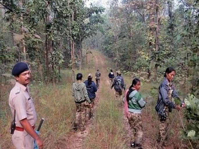 Ghat to give bogus certificate to Sarsaveva RF, two posts at the same time | सरळसेवा आरएफओंना बोगस प्रमाणपत्र देण्याचा घाट, एकाच वेळी दोन पदावर नियुक्ती Ghat to give bogus certificate to Sarsaveva RF, two posts at the same time | सरळसेवा आरएफओंना बोगस प्रमाणपत्र देण्याचा घाट, एकाच वेळी दोन पदावर नियुक्ती