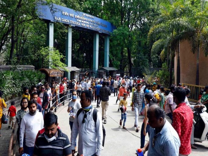 7 Crores per annum to Rajiv Gandhi Zoological Museum; A decrease of one crore | राजीव गांधी प्राणी संग्रहालयाला वर्षभरातुन पावणे सात कोटींचे उत्पन्न; एक कोटींची घट 7 Crores per annum to Rajiv Gandhi Zoological Museum; A decrease of one crore | राजीव गांधी प्राणी संग्रहालयाला वर्षभरातुन पावणे सात कोटींचे उत्पन्न; एक कोटींची घट