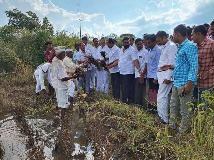 Help the farmers for Rs 80 thousand per acare | 'शेतकऱ्यांना एकरी ८० हजार रुपये मदत करा' Help the farmers for Rs 80 thousand per acare | 'शेतकऱ्यांना एकरी ८० हजार रुपये मदत करा'