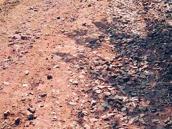 Buffalo road, raigad district raod issue | प्रवाशांची गैरसोय : म्हसळा-कोळवट रस्त्याची दैना Buffalo road, raigad district raod issue | प्रवाशांची गैरसोय : म्हसळा-कोळवट रस्त्याची दैना