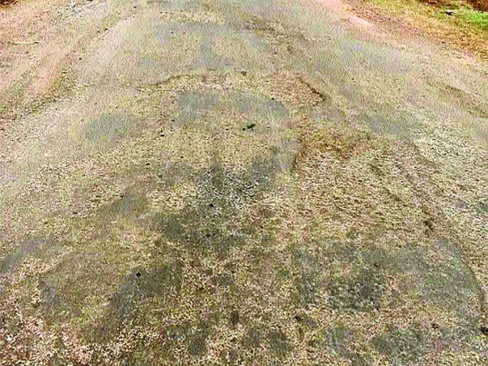 Pits on the dimly lit road in dive aagar | दिवेआगर-भरडखोल रस्त्यावर खड्डे Pits on the dimly lit road in dive aagar | दिवेआगर-भरडखोल रस्त्यावर खड्डे