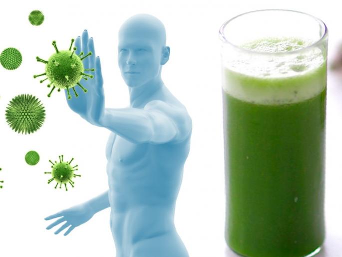 Know the health benefits of spinach prevent from disease and infecation myb | आजार किंवा इन्फेक्शन कोणतंही असो, ४ हात लांब राहायचयं तर 'असं' करा पालकाचं सेवन Know the health benefits of spinach prevent from disease and infecation myb | आजार किंवा इन्फेक्शन कोणतंही असो, ४ हात लांब राहायचयं तर 'असं' करा पालकाचं सेवन