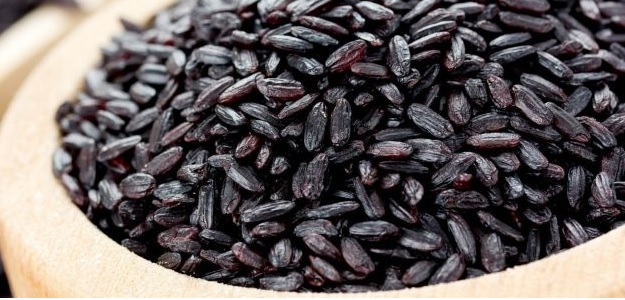 Black gold is harvested in the Gondia district | गोंदिया जिल्ह्यातील धानाच्या कटोऱ्यात पिकतेय काळे सोने