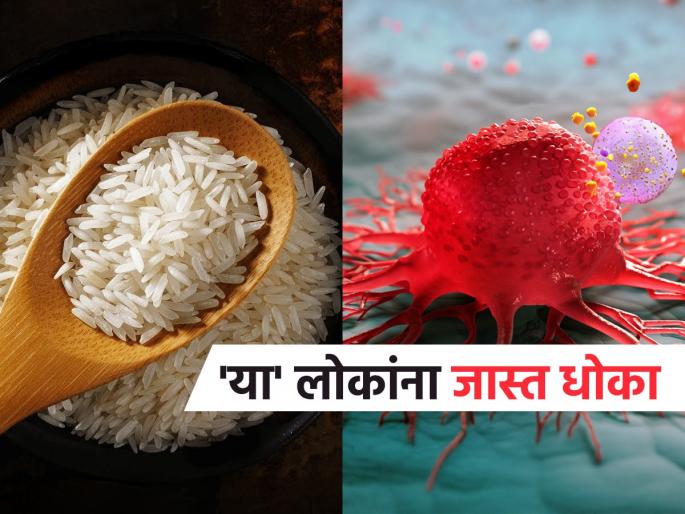 high levels of cancer causing metal found in american rice indian basmati is the safest | भय इथले संपत नाही! तांदळामुळे कॅन्सरचा मोठा धोका? 'हा' राईस आहे सर्वात सुरक्षित