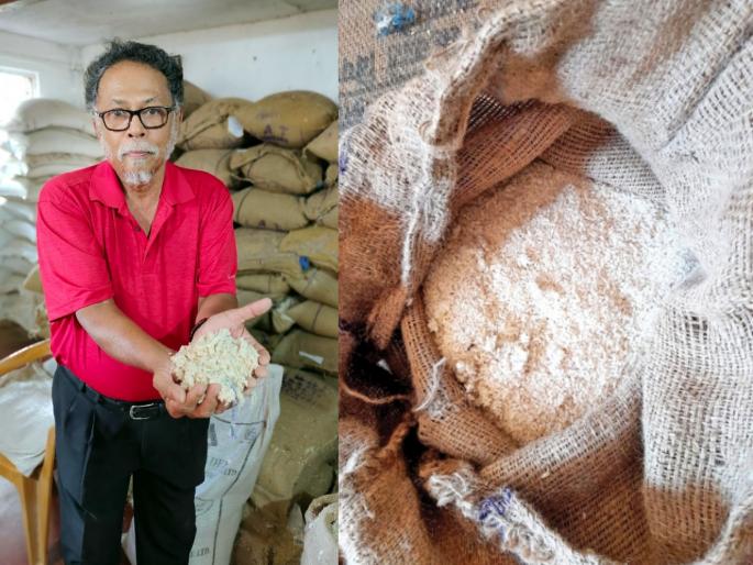 not ten larvae in each bag of rice claim of the director of civil supplies department was fail | दहा नव्हे, तांदळाच्या प्रत्येक गोणीत अळ्या! नागरीपुरवठा खात्याच्या संचालकांचा दावा ठरवला फोल not ten larvae in each bag of rice claim of the director of civil supplies department was fail | दहा नव्हे, तांदळाच्या प्रत्येक गोणीत अळ्या! नागरीपुरवठा खात्याच्या संचालकांचा दावा ठरवला फोल