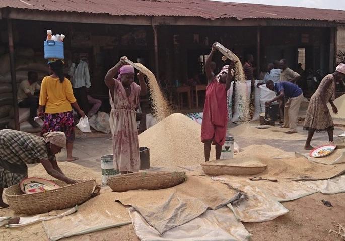 Four new clusters will be added to Kolhapur Industrial Area | कोल्हापूरच्या औद्योगिक क्षेत्रात चार नव्या क्लस्टरची पडणार भर Four new clusters will be added to Kolhapur Industrial Area | कोल्हापूरच्या औद्योगिक क्षेत्रात चार नव्या क्लस्टरची पडणार भर