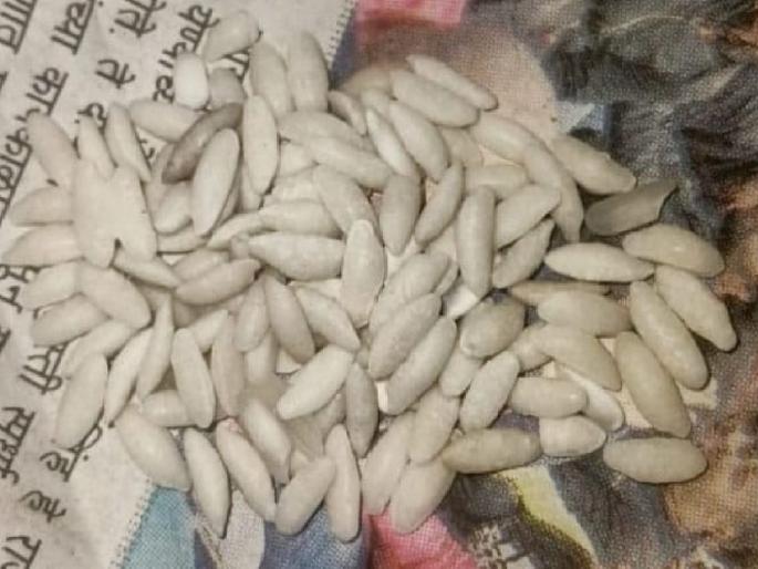 Plastic rice found in ration rice, The situation was revealed in Ichalkaranji in Kolhapur | रेशनच्या तांदळात आढळला चक्क प्लास्टिक तांदूळ, कोल्हापुरातील इचलकरंजीत उघडकीस आला प्रकार Plastic rice found in ration rice, The situation was revealed in Ichalkaranji in Kolhapur | रेशनच्या तांदळात आढळला चक्क प्लास्टिक तांदूळ, कोल्हापुरातील इचलकरंजीत उघडकीस आला प्रकार