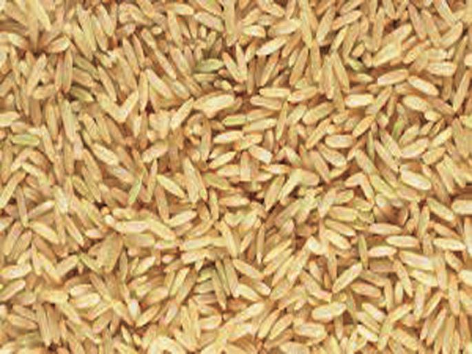 In Aurangabad, arrival of new rice from Karnataka and Gadchiroli | औरंगाबादेत गडचिरोली, कर्नाटकातून नवीन तांदळाची आवक In Aurangabad, arrival of new rice from Karnataka and Gadchiroli | औरंगाबादेत गडचिरोली, कर्नाटकातून नवीन तांदळाची आवक