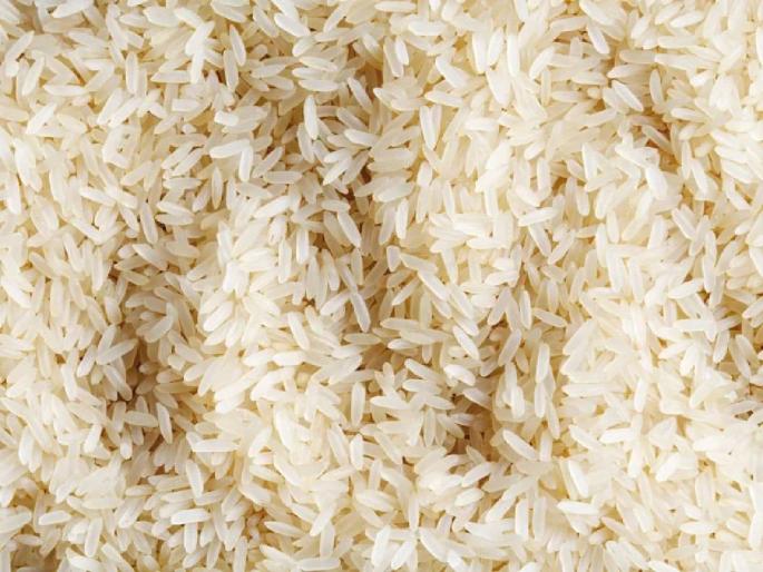 The price of rice in the summer is beyond the budget of ordinary people! Jai Shriram, Chinnore rice is most in demand | उन्हाळ्यात तांदळाचे भाव सामान्यांच्या बजेटबाहेर! जय श्रीराम, चिन्नोर तांदळाला सर्वाधिक मागणी The price of rice in the summer is beyond the budget of ordinary people! Jai Shriram, Chinnore rice is most in demand | उन्हाळ्यात तांदळाचे भाव सामान्यांच्या बजेटबाहेर! जय श्रीराम, चिन्नोर तांदळाला सर्वाधिक मागणी