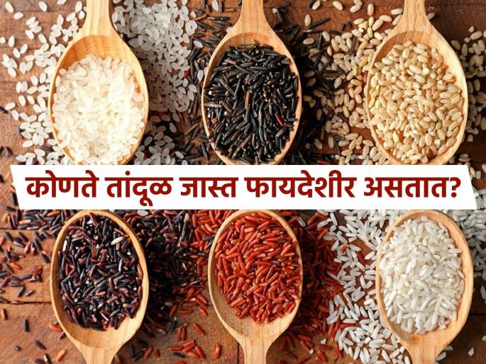 What Is the Healthiest Rice? 4 Types and Their Nutrients | पांढरे, काळे, लाल की भुरके...कोणते तांदूळ आरोग्यासाठी अधिक फायदेशीर? पाहा प्रत्येकाचे वेगळे फायदे