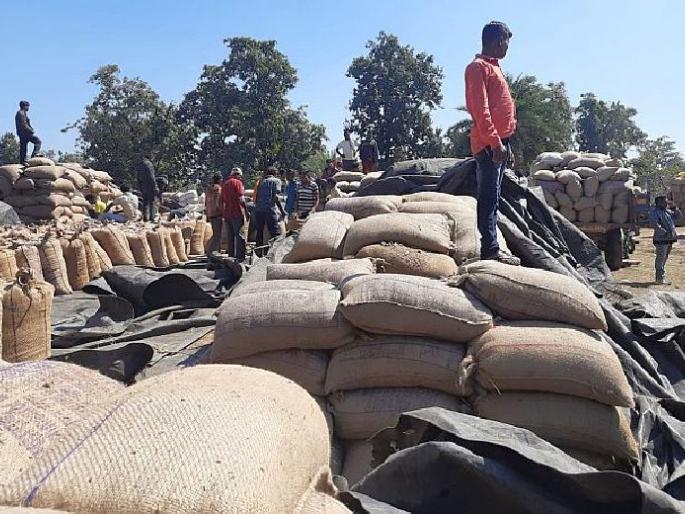 5 quintals of paddy lying in the open due to lack of godowns in Gadchiroli | पाच लाख क्विंटल धान अजूनही उघड्यावरच, कधी येणार भरडाईला गती? 5 quintals of paddy lying in the open due to lack of godowns in Gadchiroli | पाच लाख क्विंटल धान अजूनही उघड्यावरच, कधी येणार भरडाईला गती?