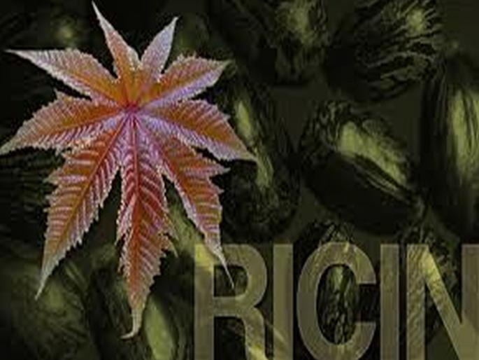 Chemical attack and ricin in castor seeds | रासायनिक हल्ला आणि एरंडीच्या बियांमधलं रिसीन