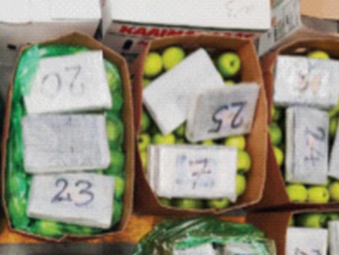 502 crore cocaine 'box' in fruit boxes at nhava sheva port | फळांच्या पेट्यांत ५०२ कोटींच्या कोकेनचे ‘बॉक्स’ 502 crore cocaine 'box' in fruit boxes at nhava sheva port | फळांच्या पेट्यांत ५०२ कोटींच्या कोकेनचे ‘बॉक्स’