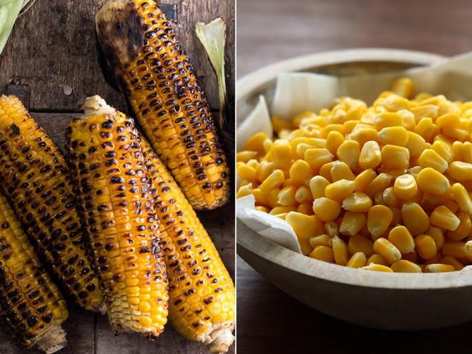 Roasting Or Boiling Which Is The Right Way To Consume Corn What is the best way to consume corn | मका भाजून खावा की उकडवून? डॉक्टर सांगतात, 'या' पद्धतीने मका खाल्ल्यास मिळते संपूर्ण पोषण...