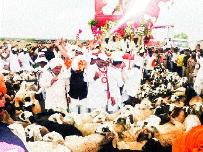Sant Tukaram Maharaj Palkhi news | दौंडच्या सीमेवर मेंढ्यांचे पहिले रिंगण, संत तुकाराममहाराज पालखी सोहळा