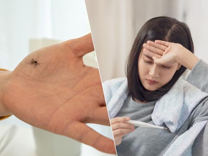 risk of not washing hand after killing mosquito with palm | अरे बापरे! हाताने पटापट डास मारता पण हात धूतच नाही? ३ आजारांचा खूपच धोका risk of not washing hand after killing mosquito with palm | अरे बापरे! हाताने पटापट डास मारता पण हात धूतच नाही? ३ आजारांचा खूपच धोका