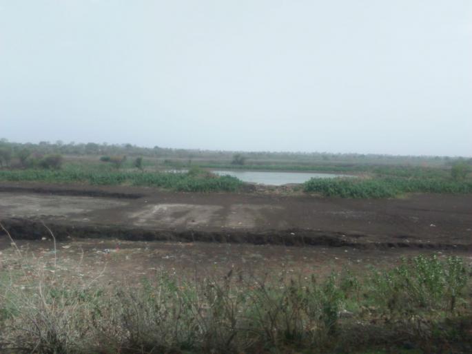 dams in Risod taluka no gain in water lavel | रिसोड तालुक्यातील धरणे तहानलेलीच dams in Risod taluka no gain in water lavel | रिसोड तालुक्यातील धरणे तहानलेलीच
